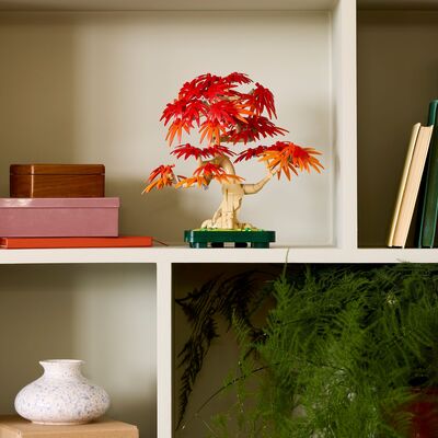 LEGO Botanicals 10348 Bonsai-tre: Japansk lønn