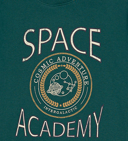 The New T-Shirt - TnMonte - June Bug