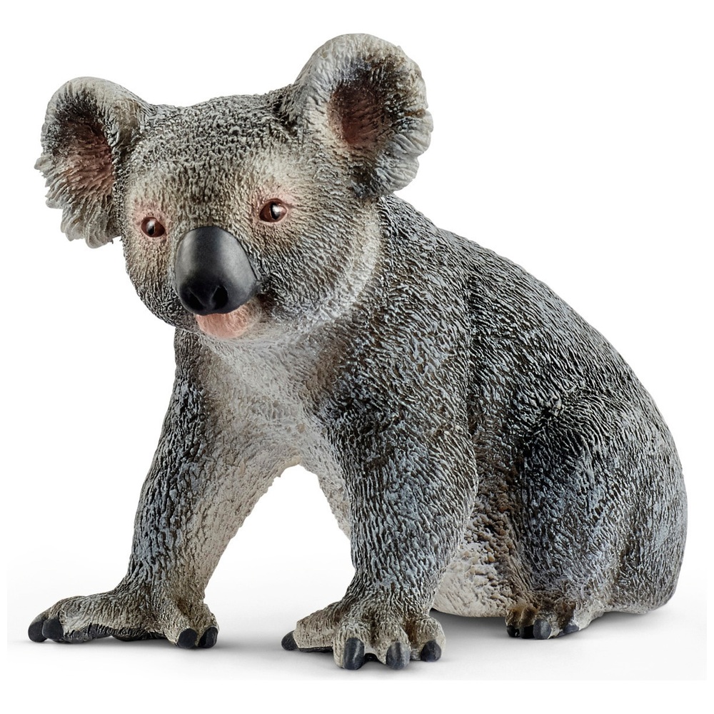 Schleich Koalabär