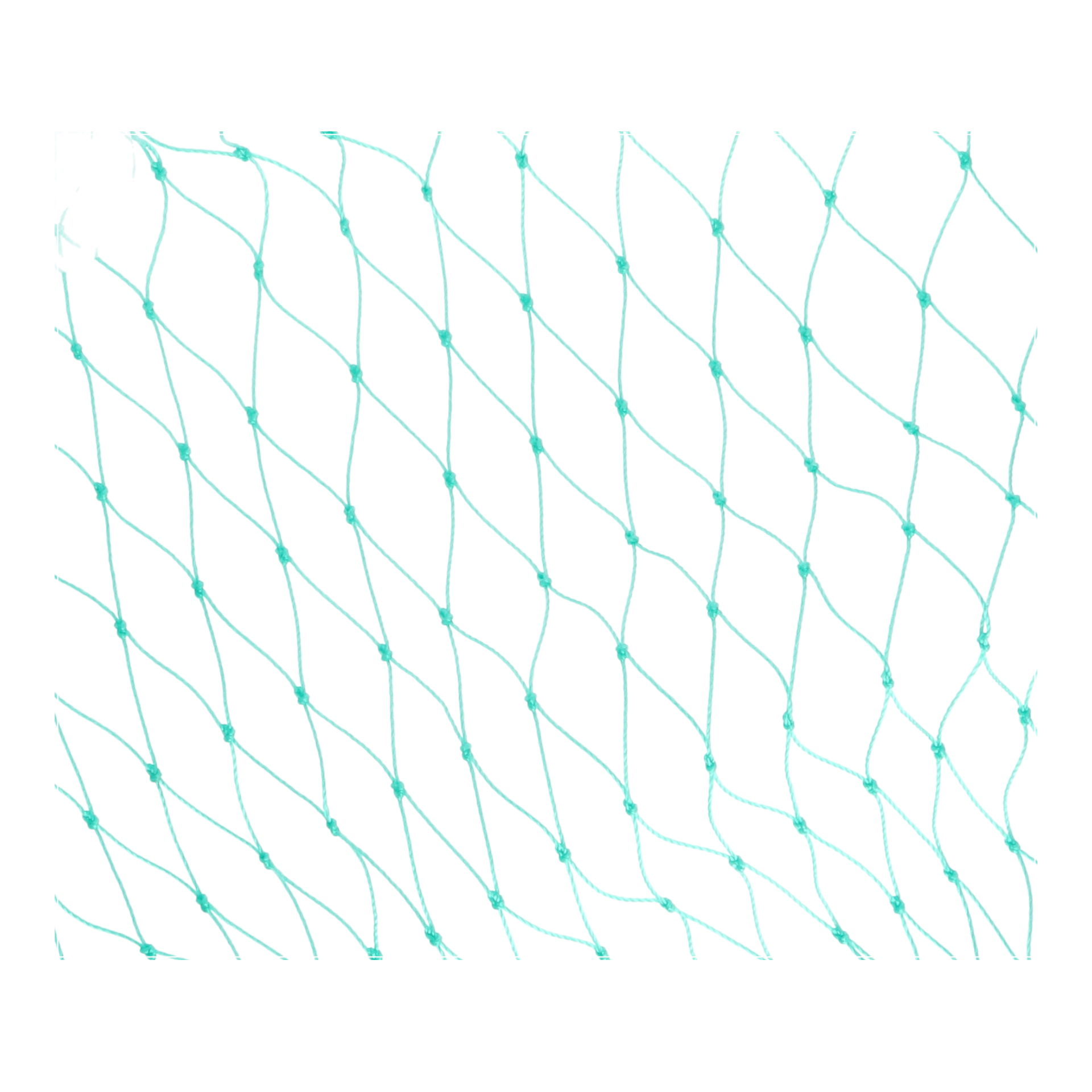 Carpoint twisted aanhangernet - 200 x 300 cm