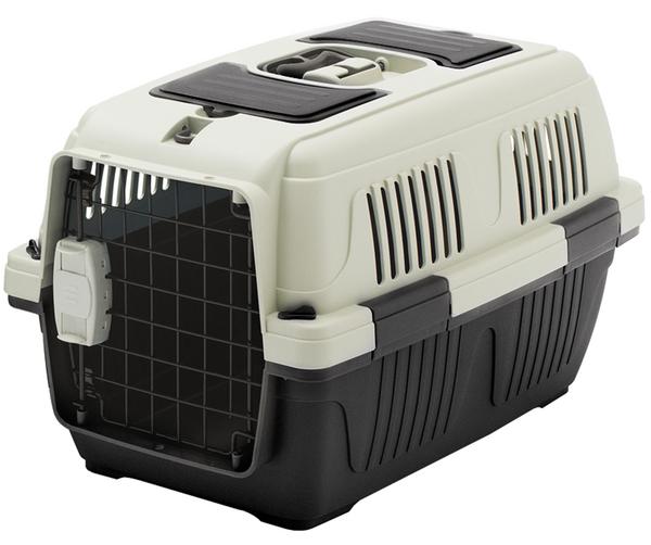 Dehner Lieblinge Transportbox Dino