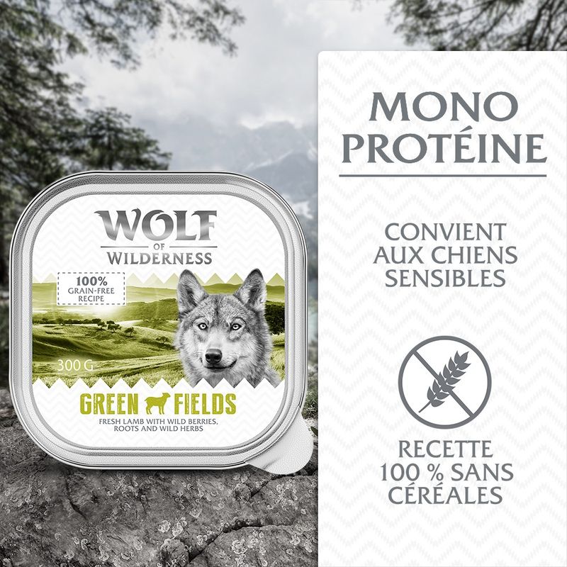 Wolf of Wilderness Adult - Single Protein 6 x 300 g
