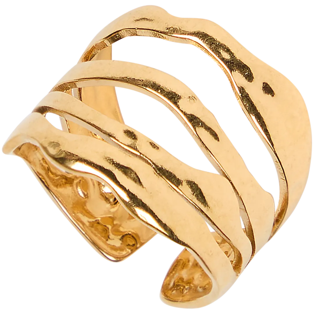 Vergulde ring Diverse varianten
