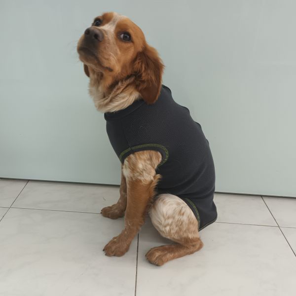Bete4Pet Body Pós Cirúrgico Fêmea XXS