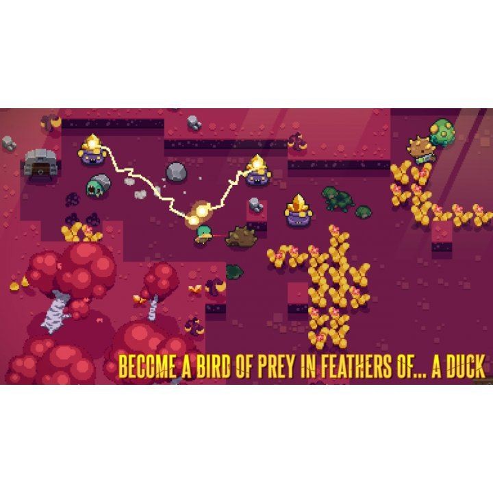Blazing Beaks- Nintendo Switch
