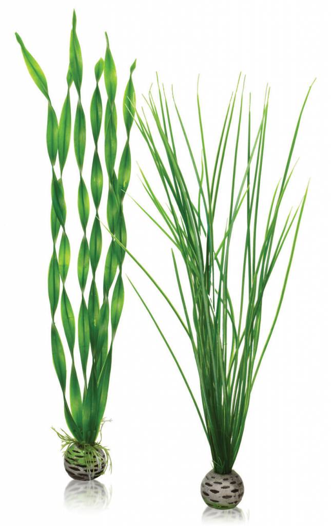 biOrb Easy plants 2x large groen