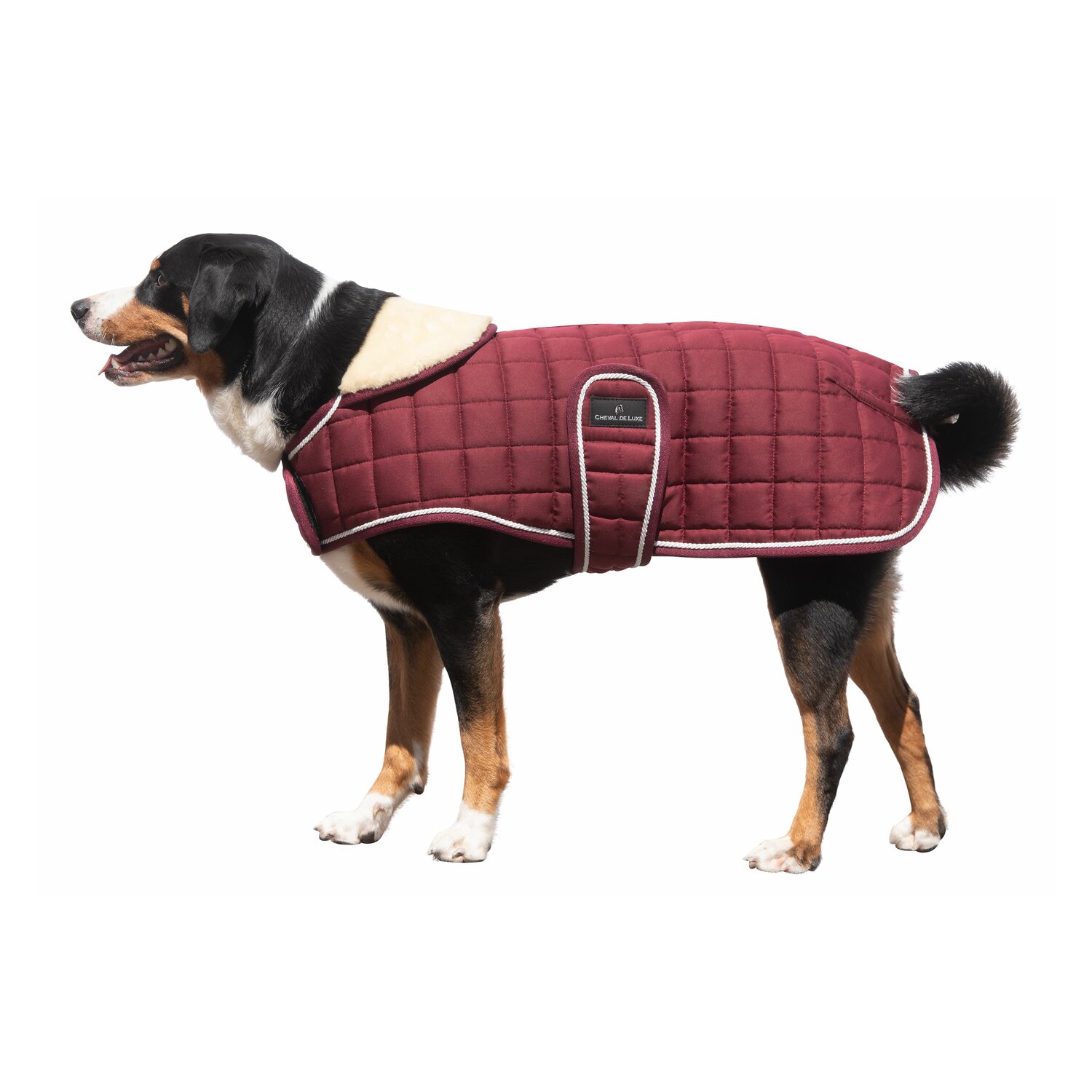 Cheval de Luxe Hundemantel Nantes - burgundy - S/M (47 cm)