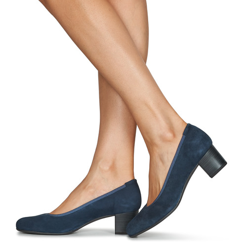 Dorking - GEMINIS - Bleu