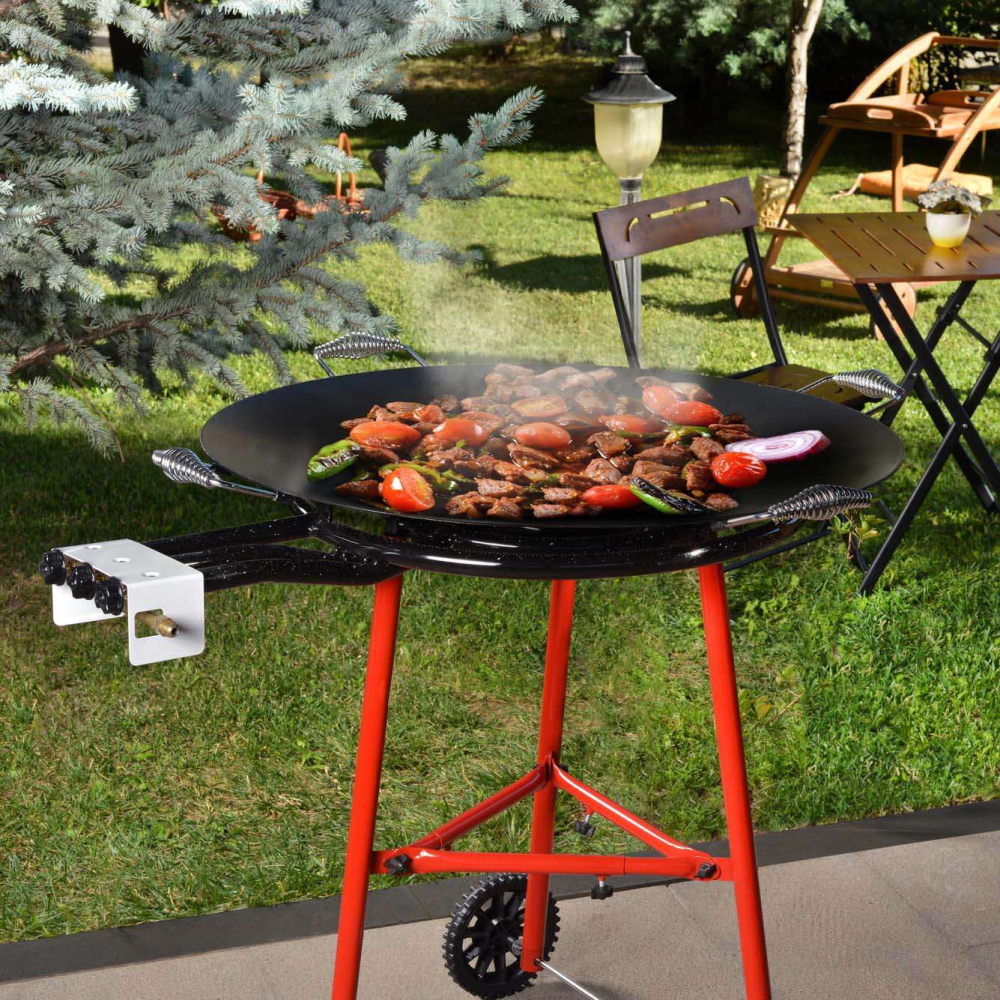Barbecue au gaz grill