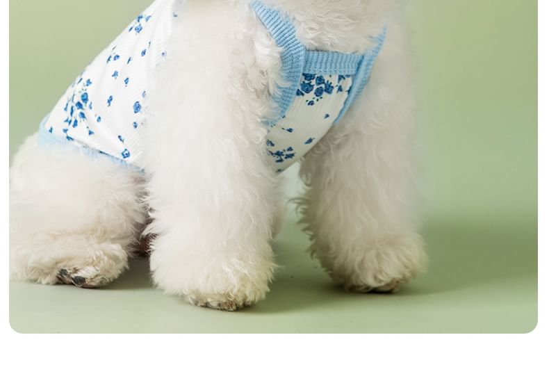 Cissilli - Bloemen Pet Top