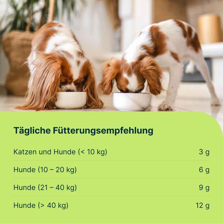 Mobeel Ergänzungsfuttermittel Pulver für Hunde / Katzen, 150 g