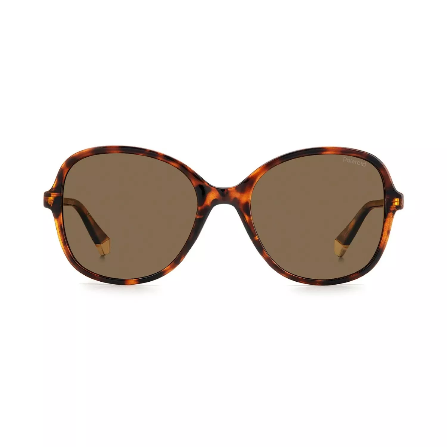 Polaroid Havana Solbrille 20533808654SP