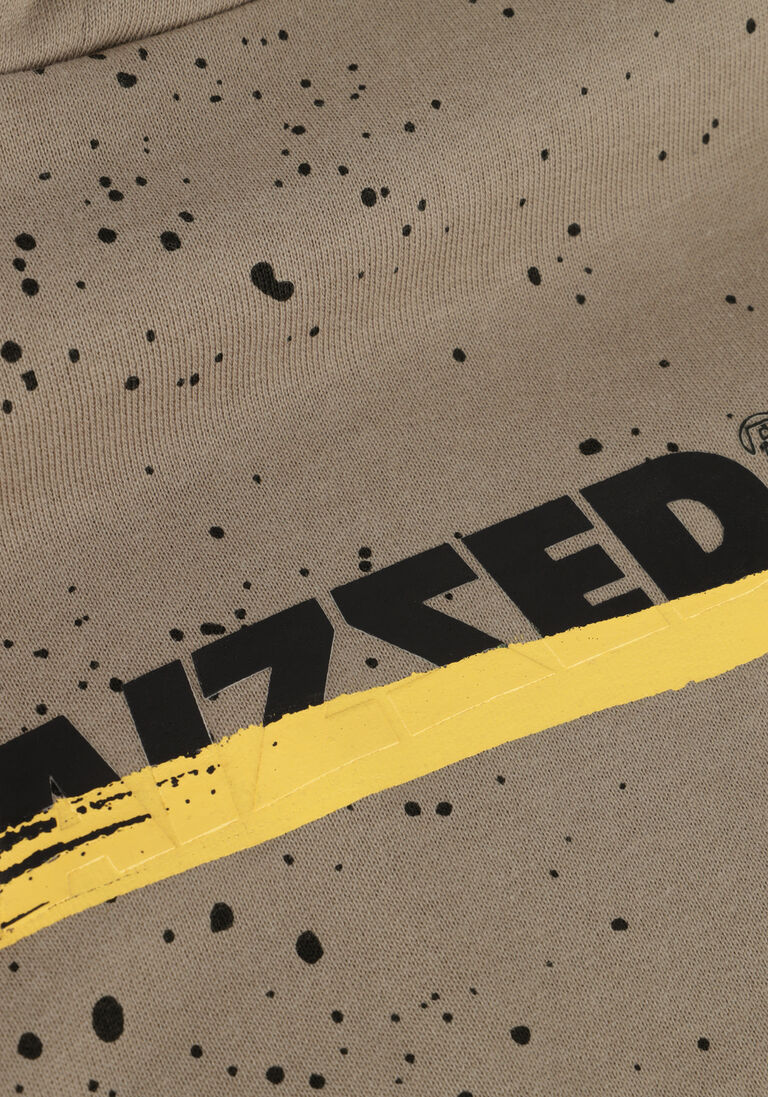 RAIZZED grijze raizzed trui devrim