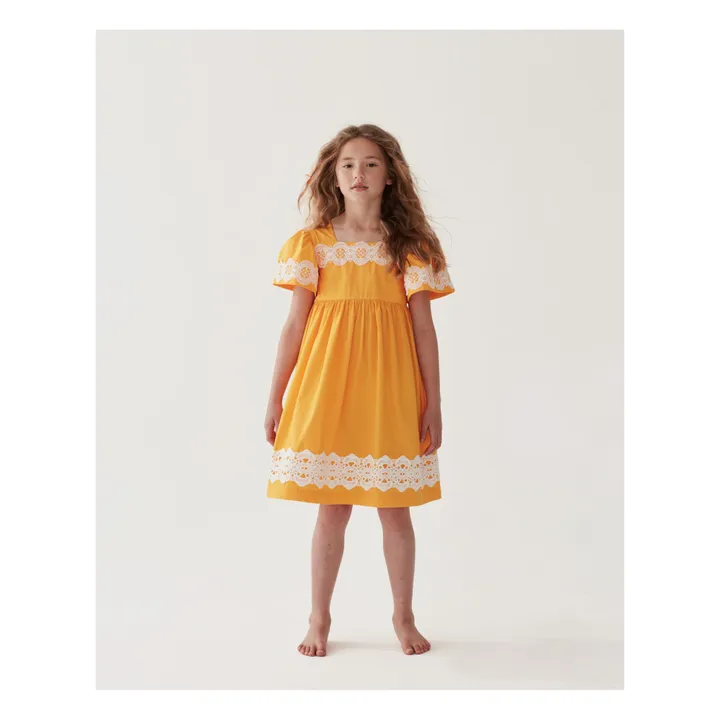 The Middle Daughter Robe Dentelle | Mangue