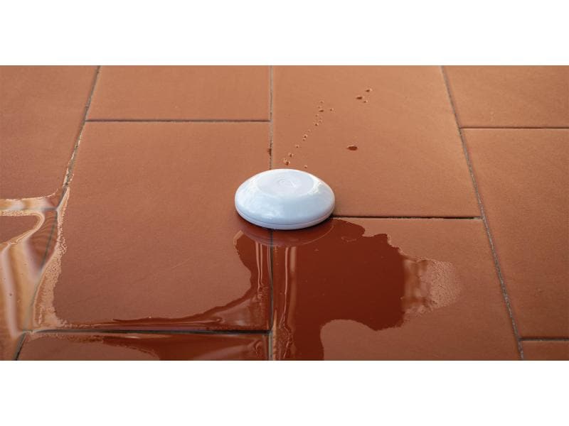 Shelly Flood WiFi-Flood & Temperatur Sensor WLAN Wassersensor, Temperatursensor