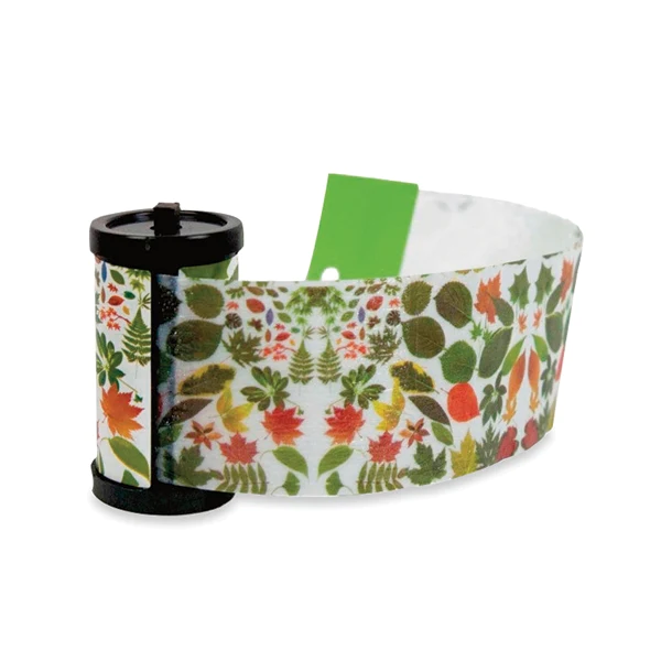 Set de 4 rouleaux piège à mouches