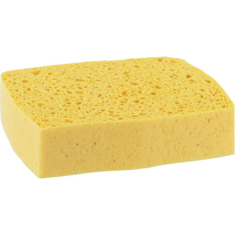 Eponge végétale Spontex Professional Azella 93 - Paquet de 10
