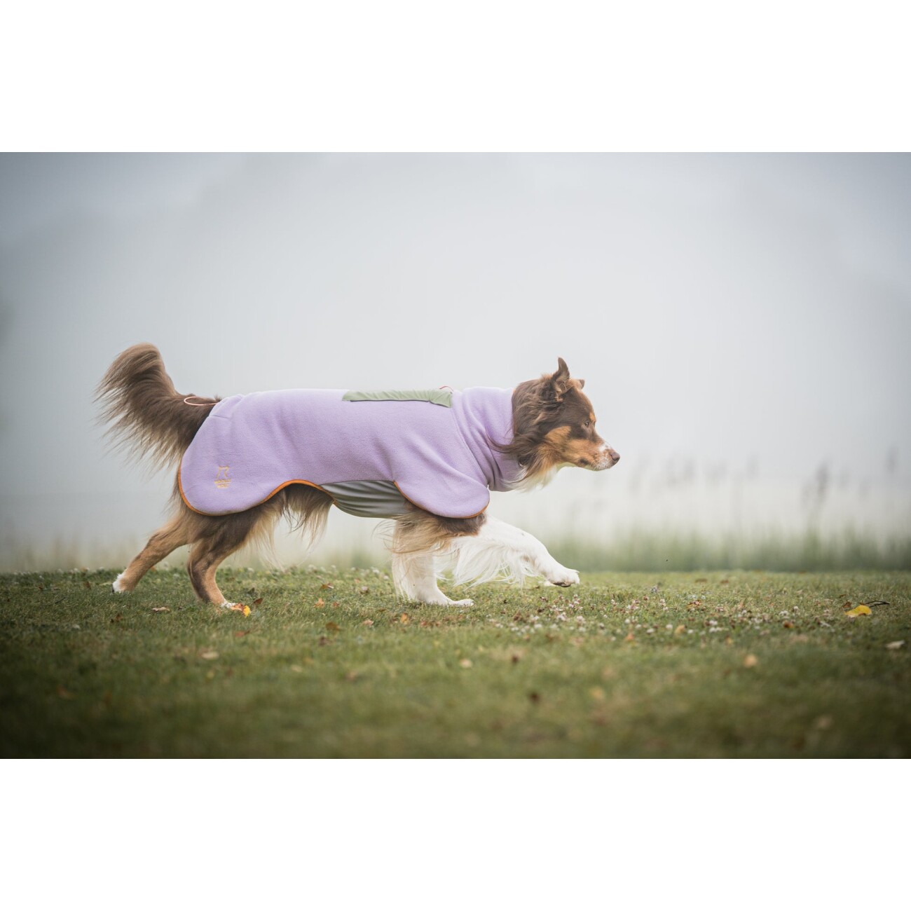 Woolly Wolf Alpha 360 Fleece Pullover Lavender Mix XXXS