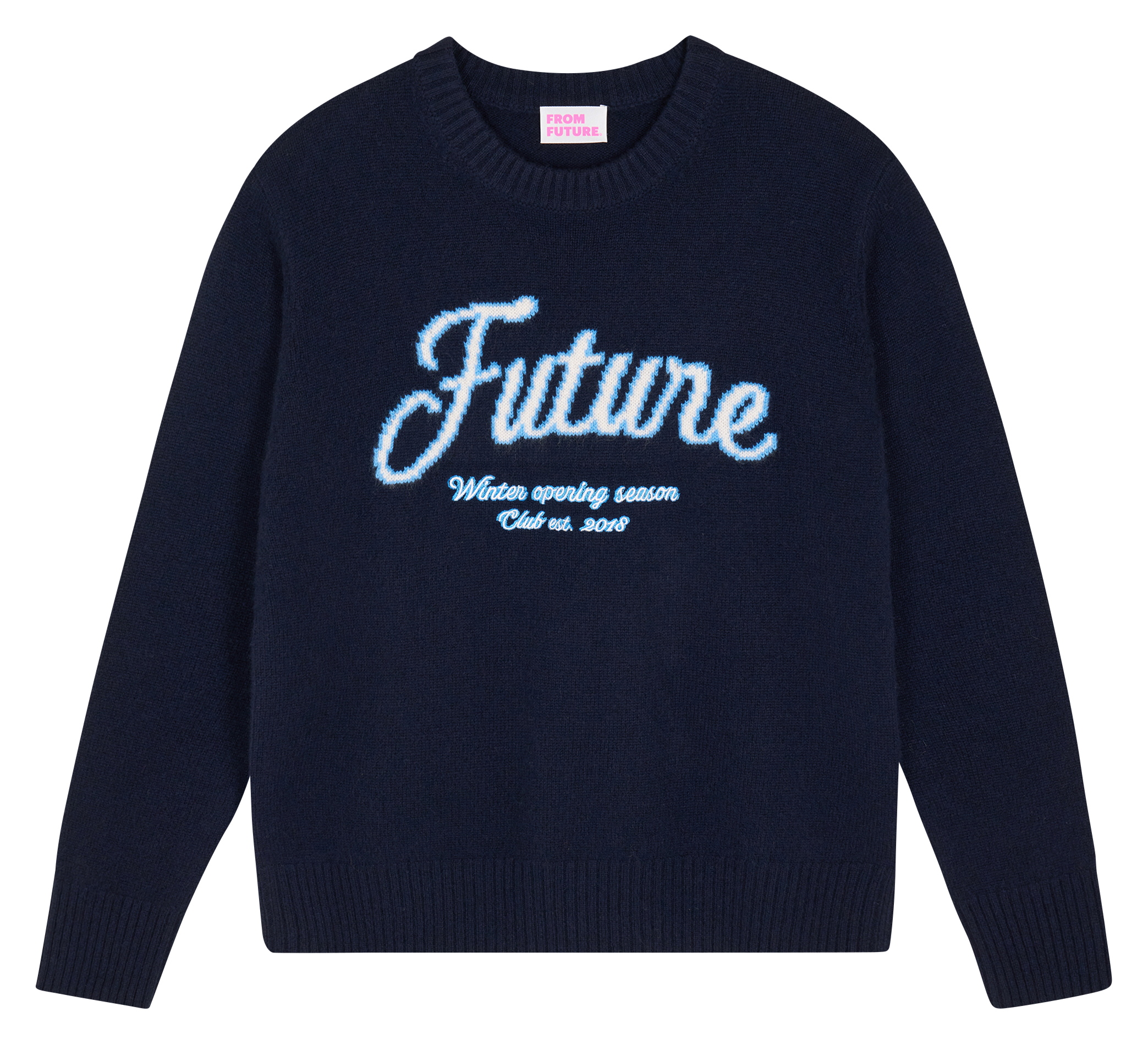 Pull col rond brodé en cachemire | Bleu