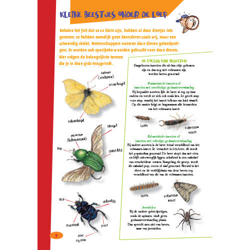Uitgeverij deltas de leukste insectengids