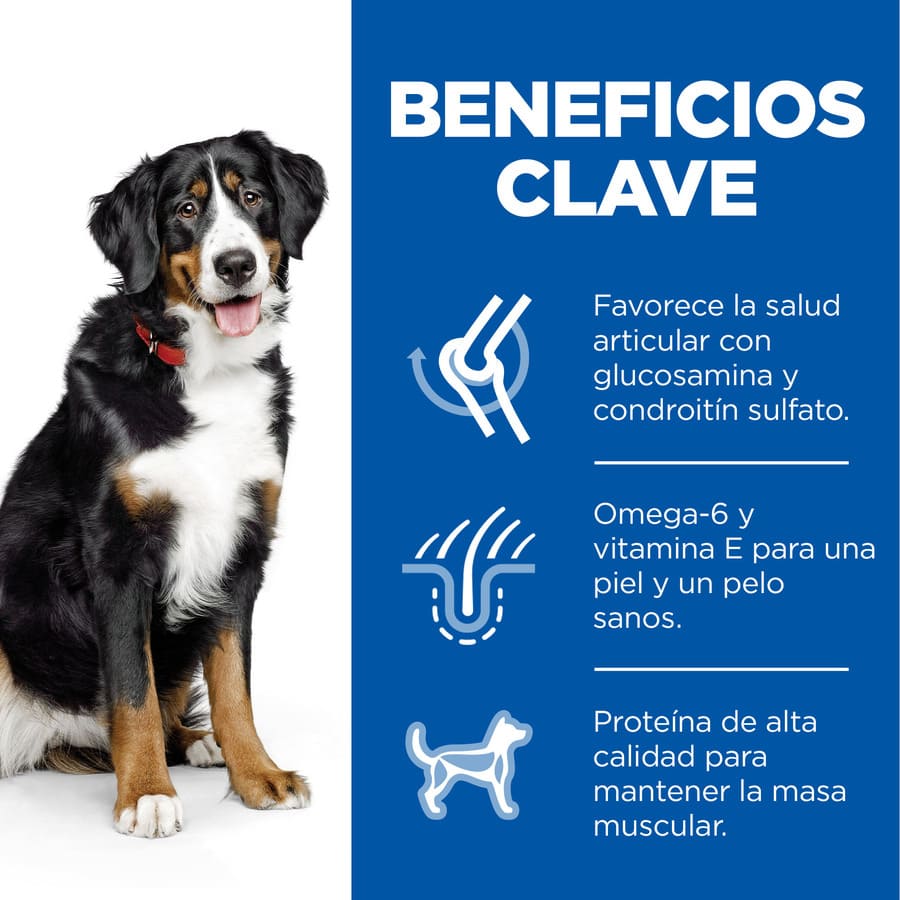 Ração Hill's Science Plan para cães adultos de porte grande com sabor de frango
