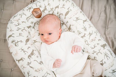 EcoViking Organic Babynest Cover Viking Cave