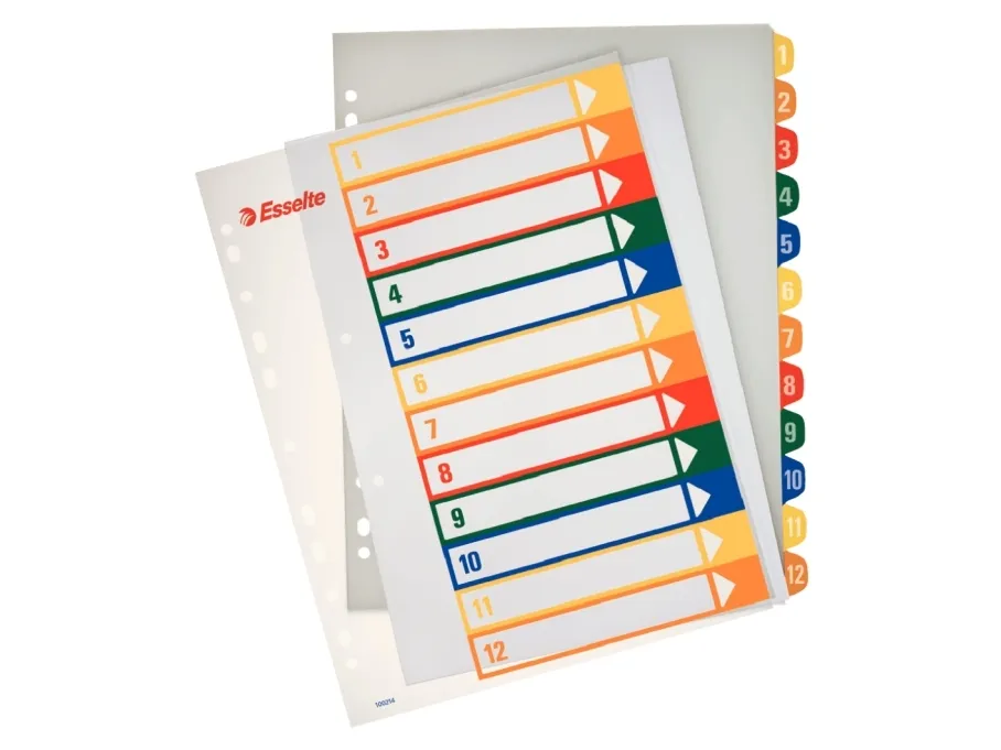 Register PC printbar Esselte PP A4 maxi Flerfarvet - (10 stk.)