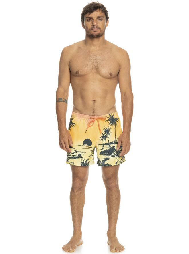 Quiksilver Everyday Paradise Volley 15