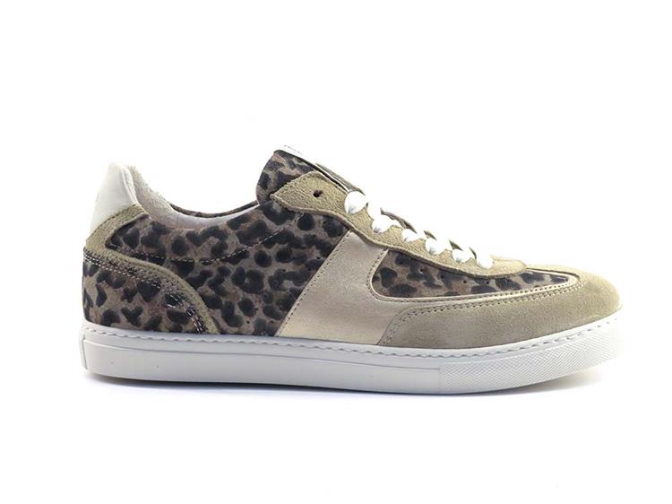 Floris van Bommel SFW-10096 taupe