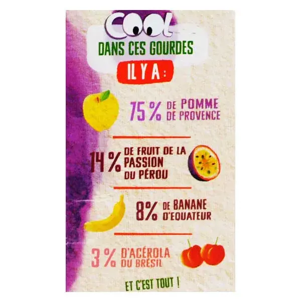 Vitabio Cool Fruits Maçã Maracujá Acerola 4 x 90g