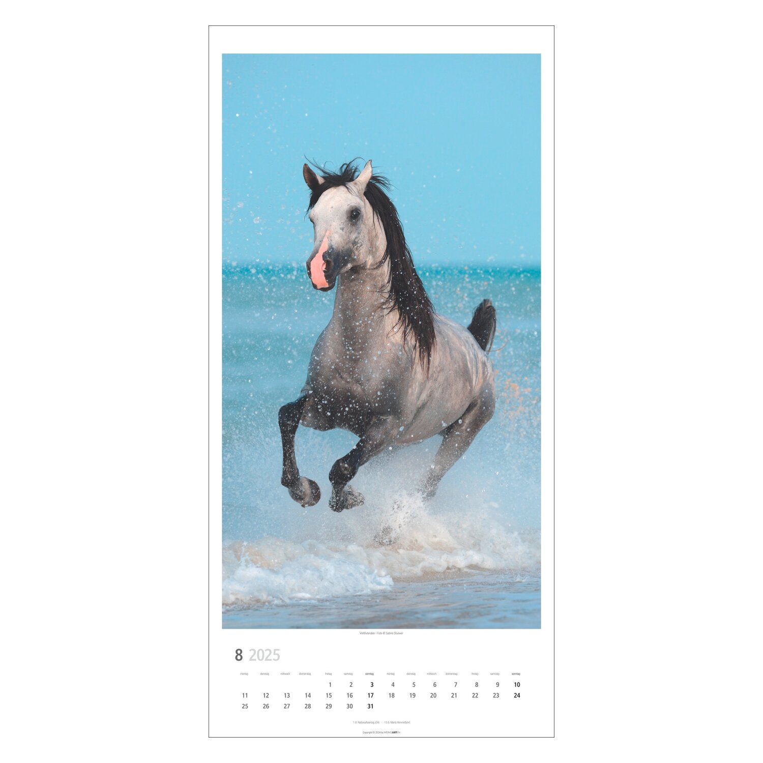 Kalender Pferde 2025