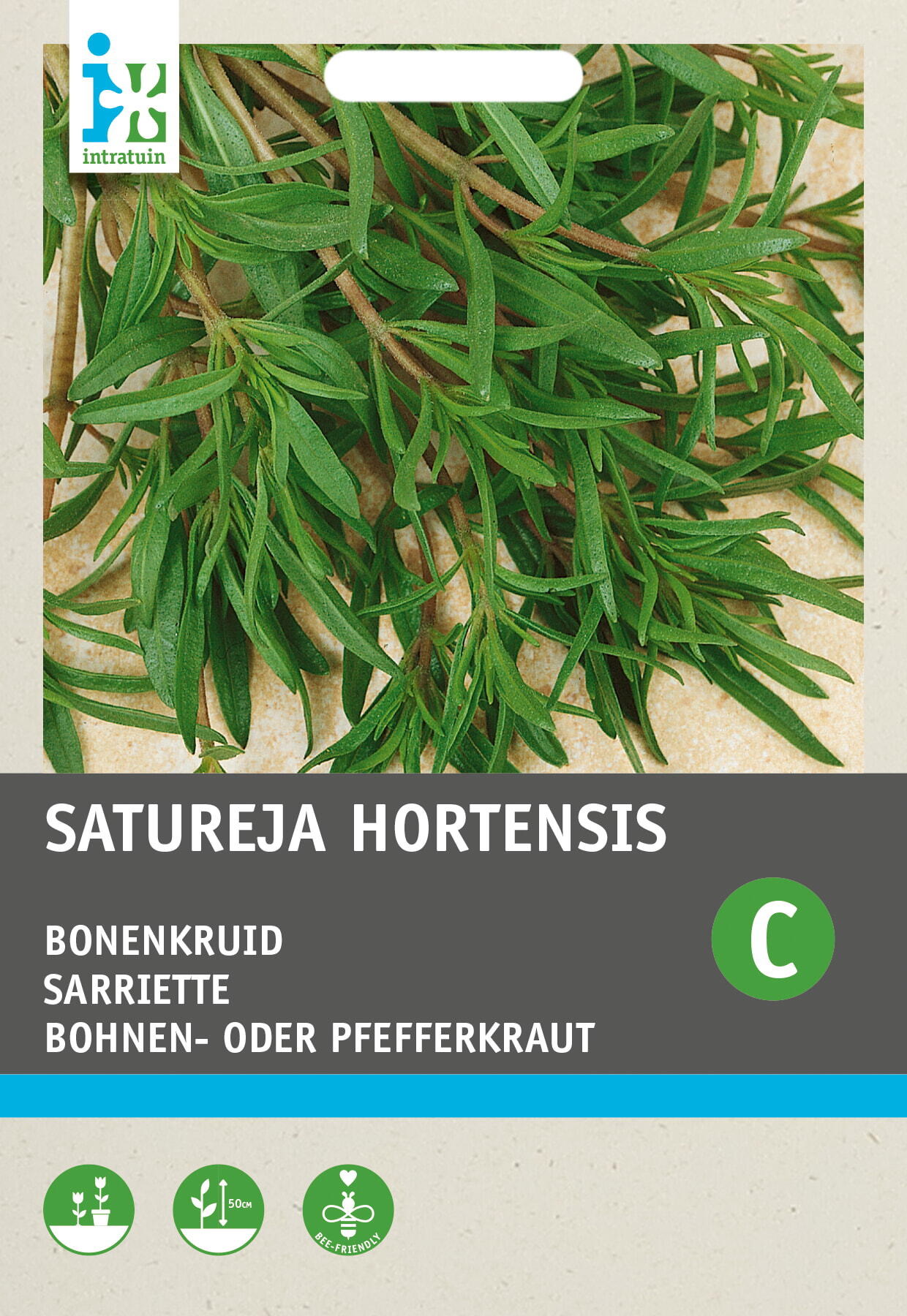 Intratuin kruidenzaad Bonenkruid eenjarige (Satureja hortensis)