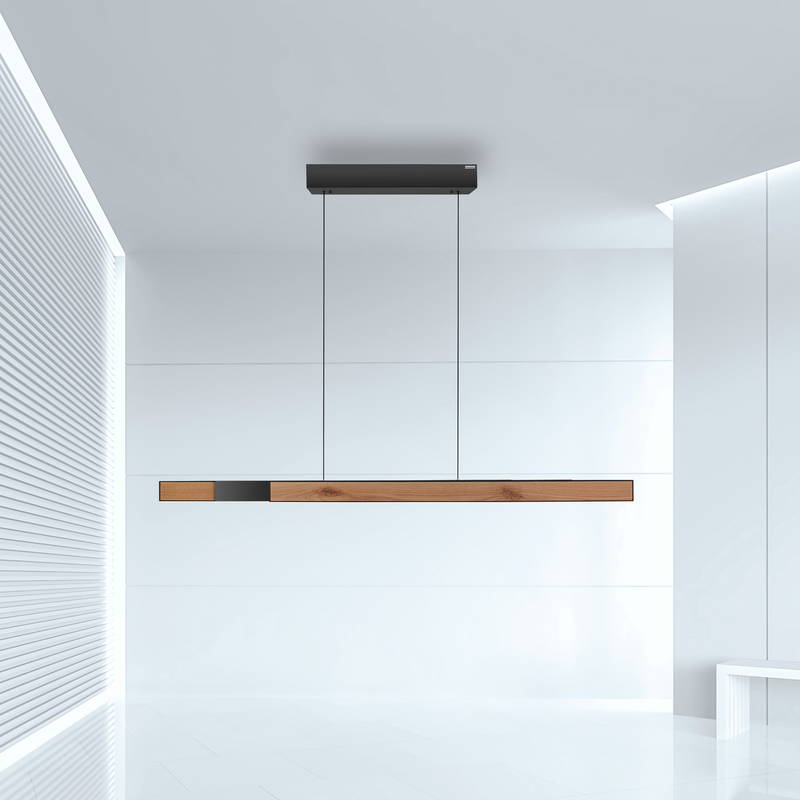 Paul Neuhaus LEDPendelleuchte PURE-MOTO-RISE