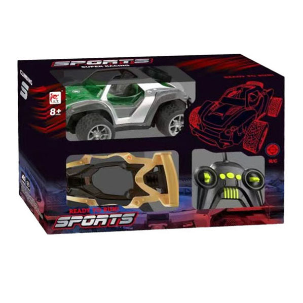 RC Bestuurbare Auto met Verwisselbare Bodies