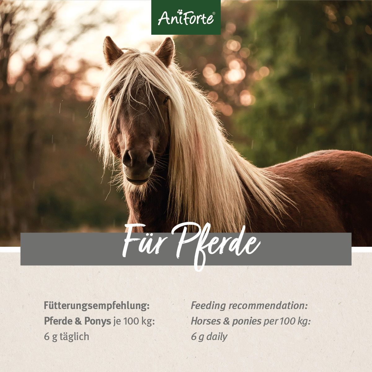 AniForte Weidenrinde