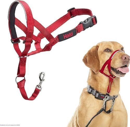 HALTI - Headkraag - Zwart - Nylon - Inclusief Trainingsgids