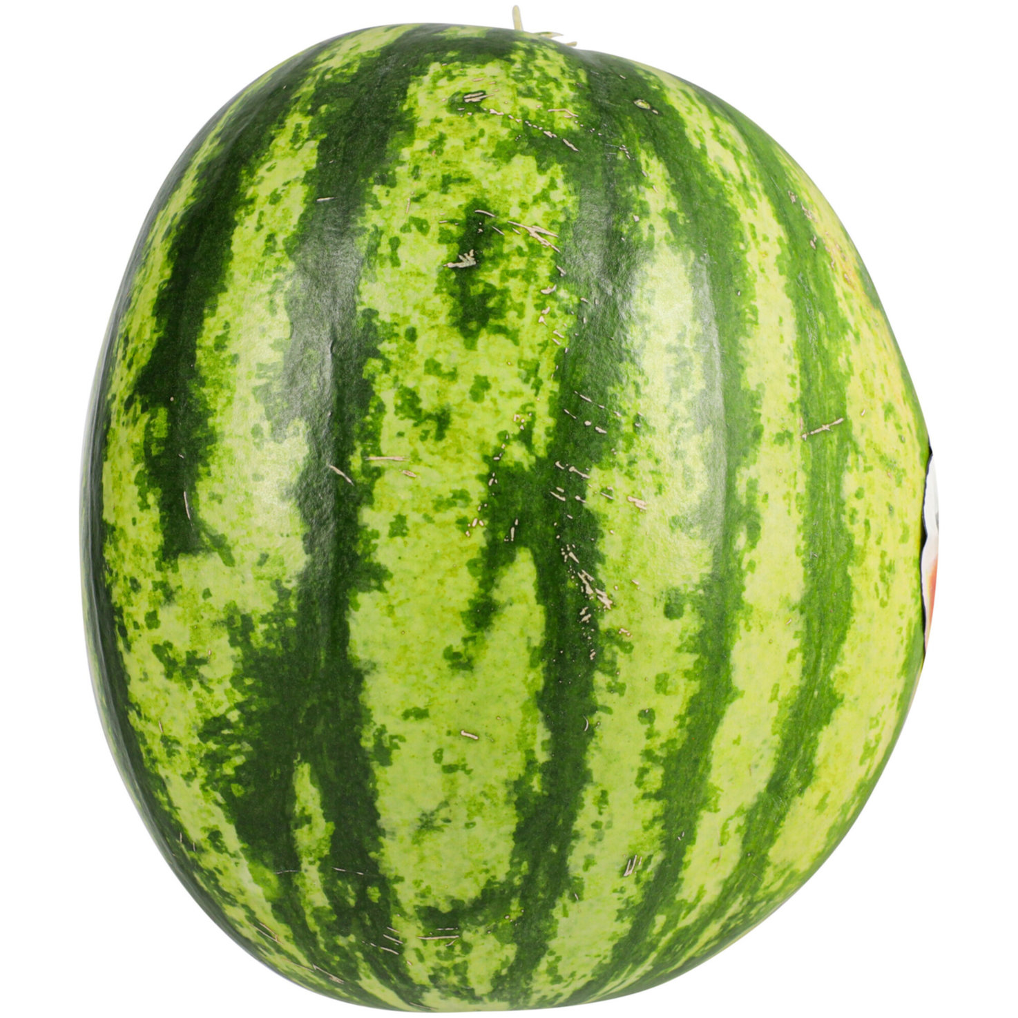 Mini Wassermelone 1 Stück -