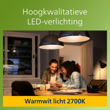 Philips greenlabel LED 100W E27 peer 2700k