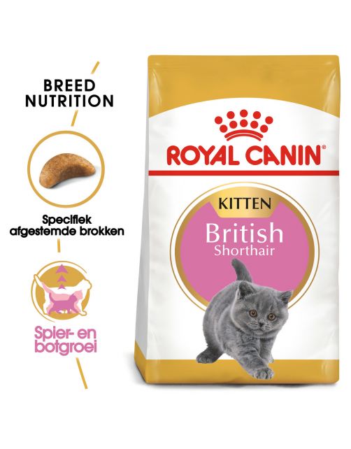 Royal Canin British Shorthair Kitten - Kitten-Kattenvoer