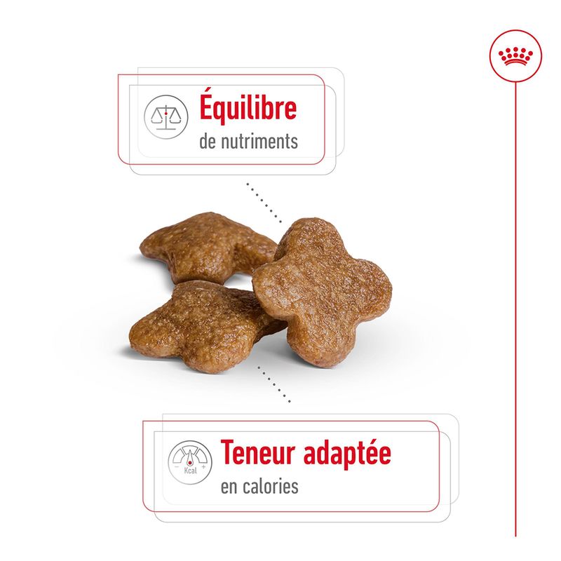 Royal Canin Mini Adult 8+ à prix discount sur bitiba.fr
