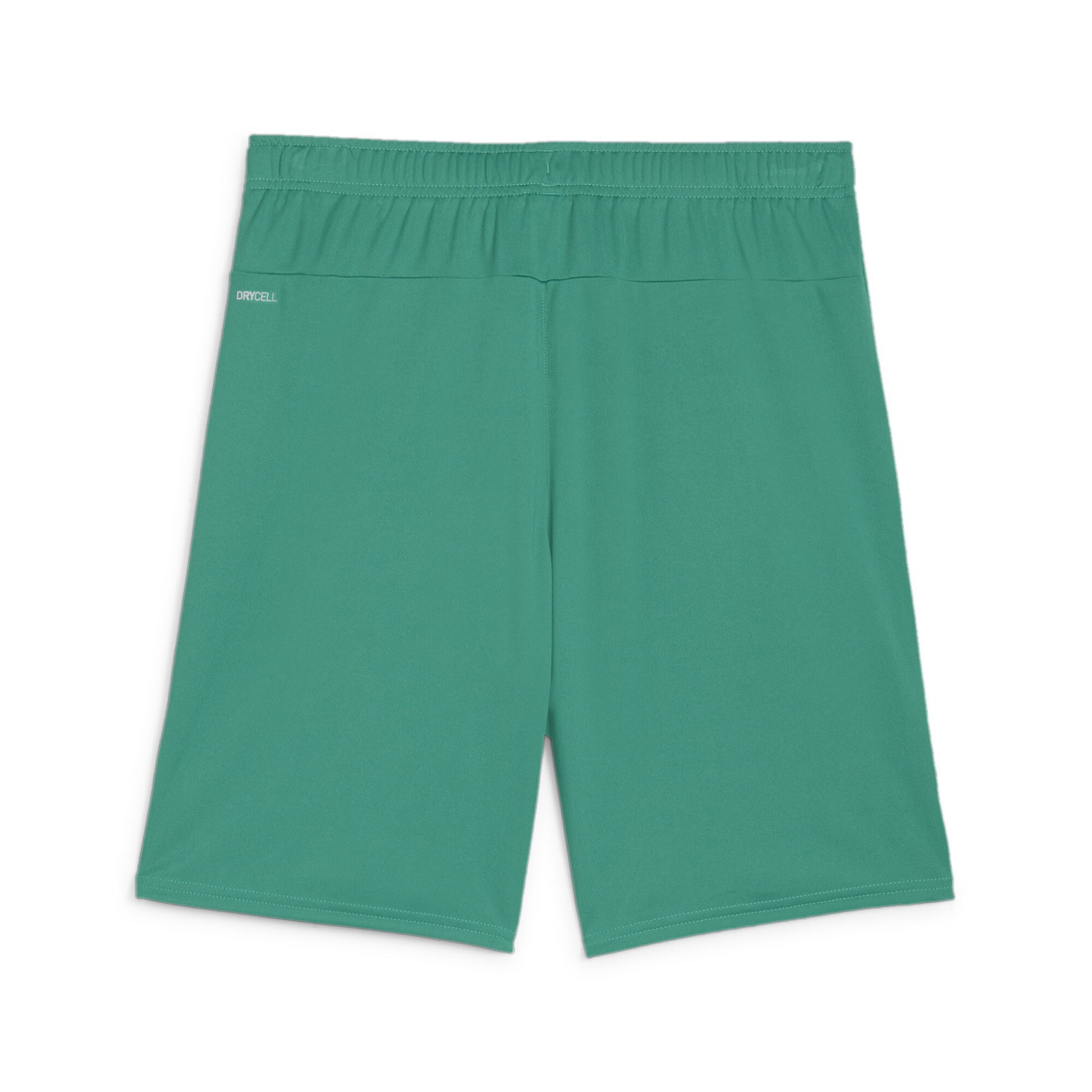 PUMA teamGOAL Matchday Voetbaltenue Groen Wit