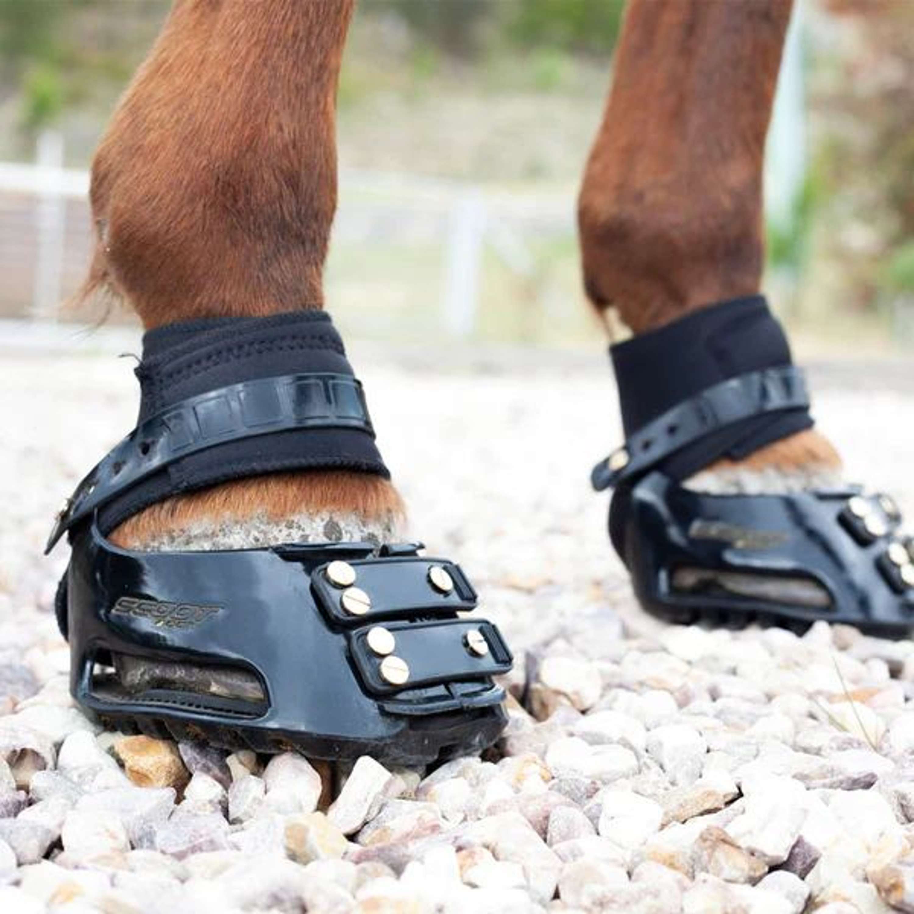Scoot Boots Endurance Gaiter Zwart