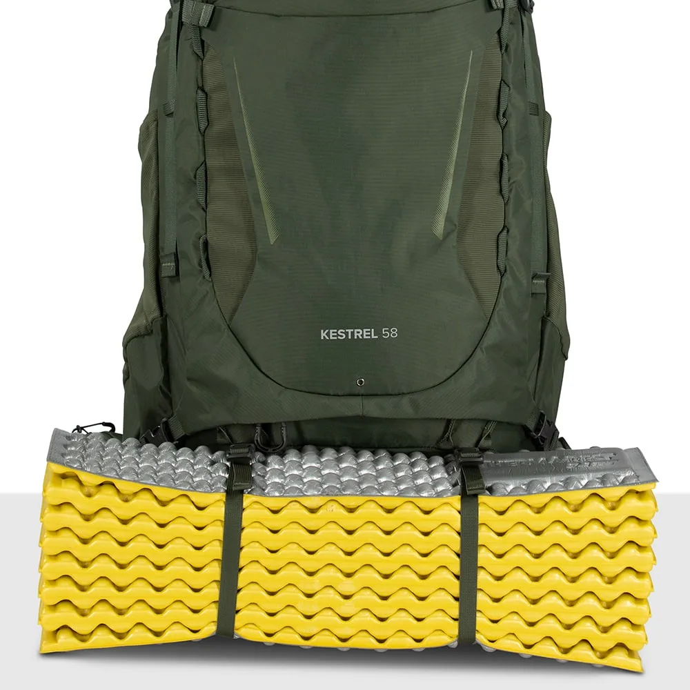 Osprey Men's Kestrel 58 Bonsai Green