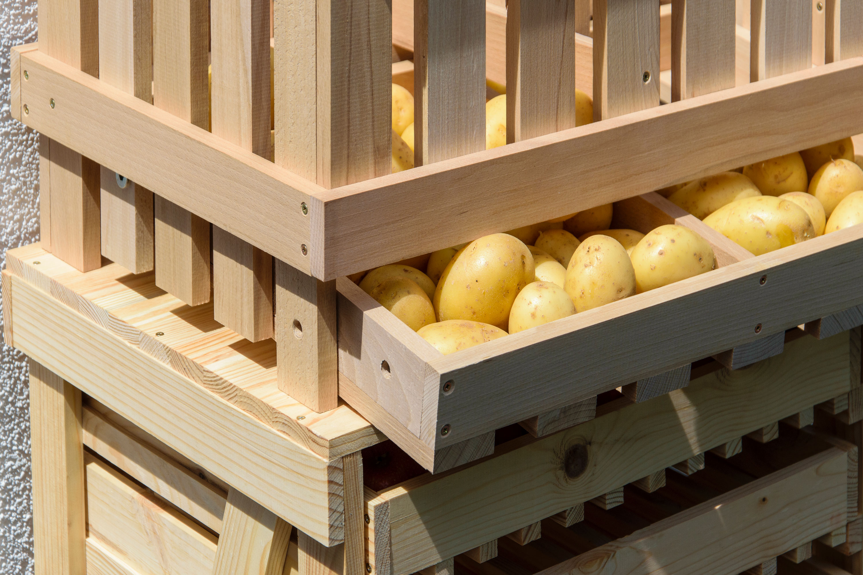 dobar Vorratsbehälter aus Holz - versch. Ausführungen