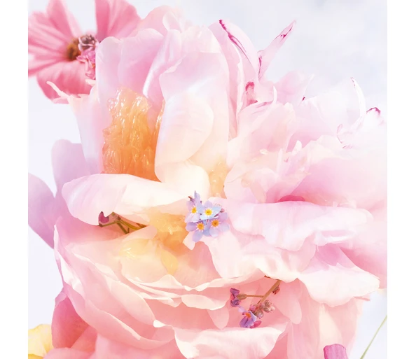 DIOR Miss Dior Blooming Bouquet Eau de Toilette