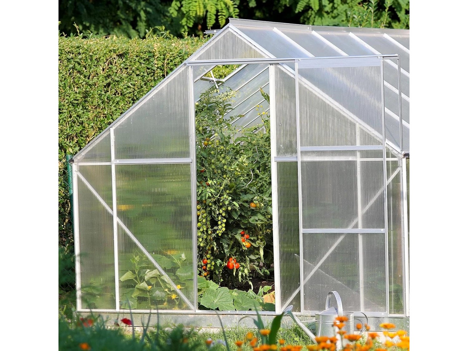 Dubbelwandige polycarbonaatplaat 60,5 x 121 cm transparant - meerwandige plaat voor kassen - 4 mm dik