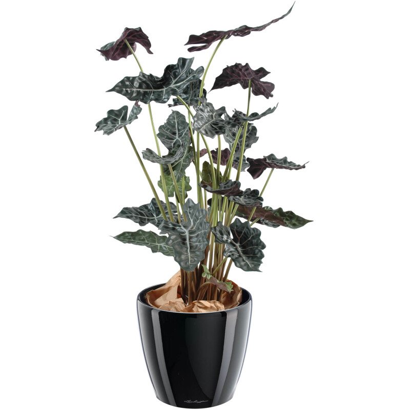 Plante artificielle d'intérieur Alocasia 110 cm