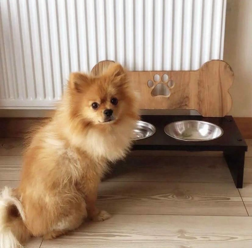 Double gamelle avec support pour chien (noir)