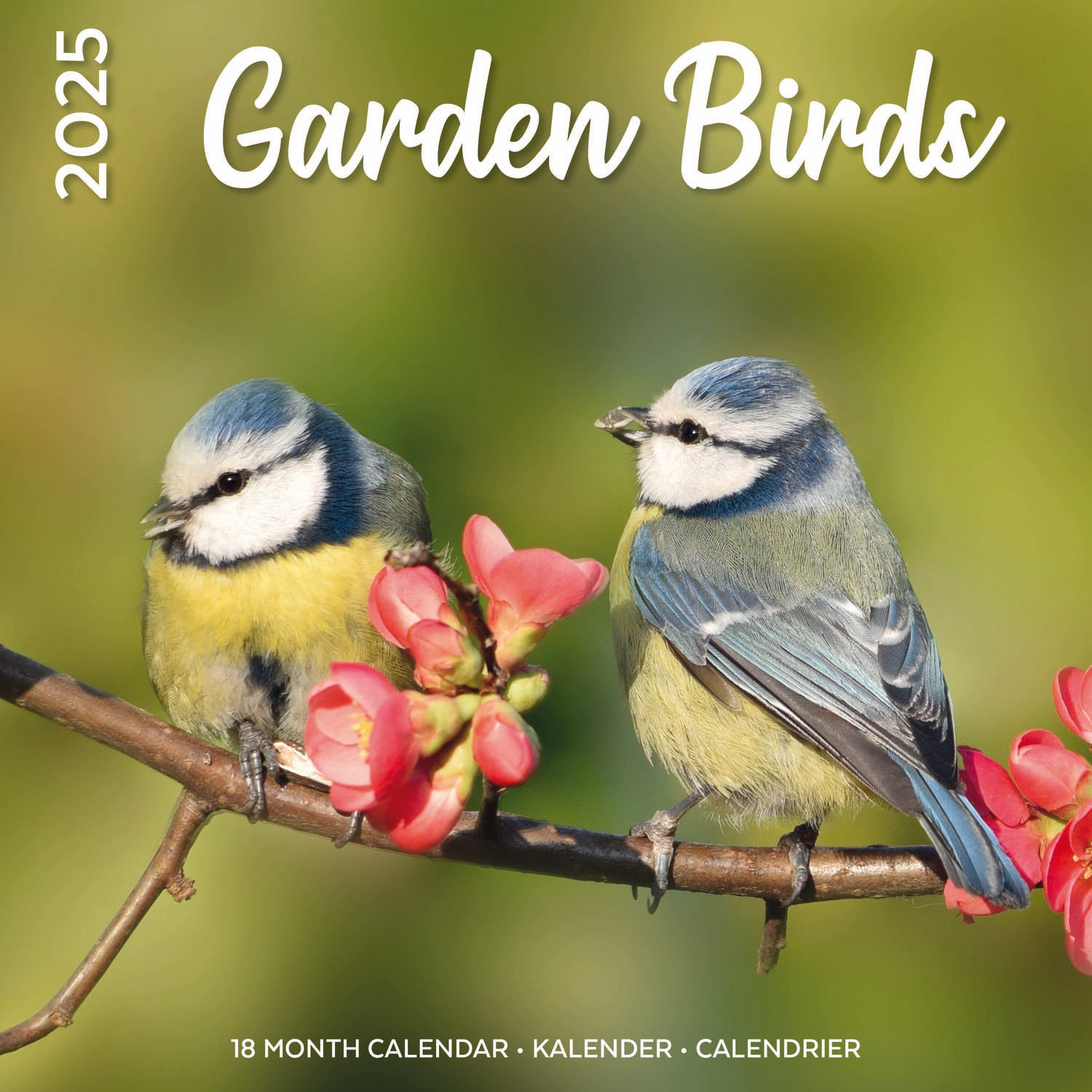 Plenty Gifts kalender garden birds 30 x 30 x 0,5 cm
