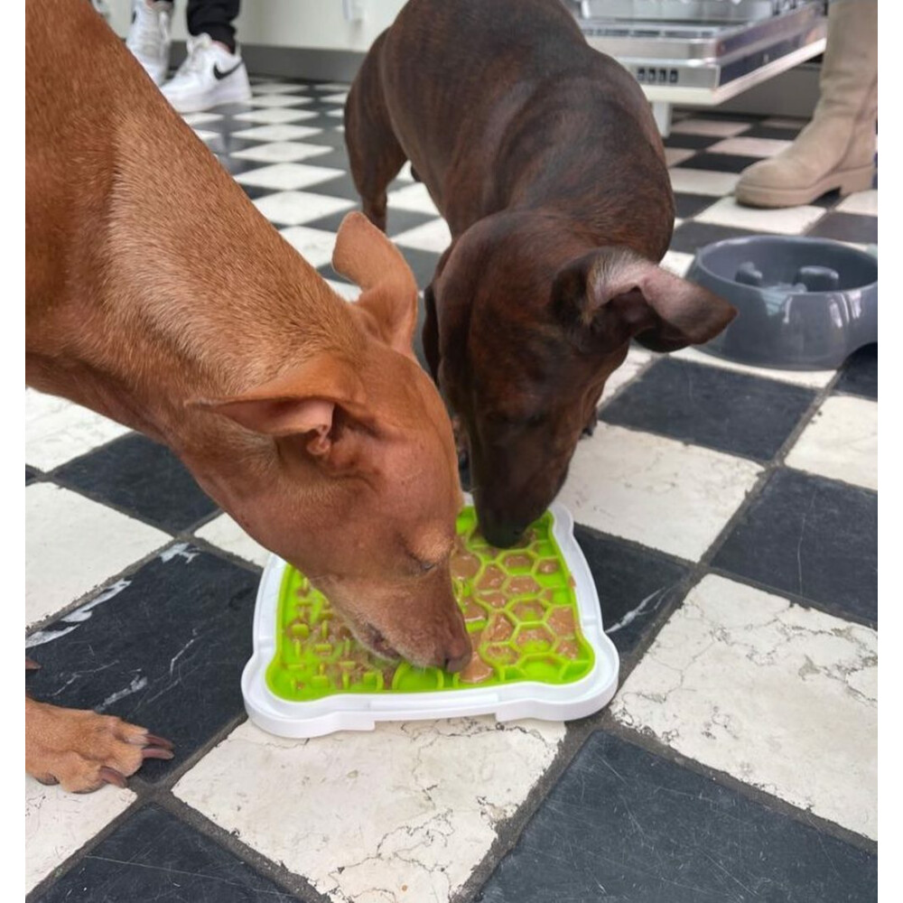 EasyPets Trainer Mini Mix Pot Hondenpindakaas350 gr